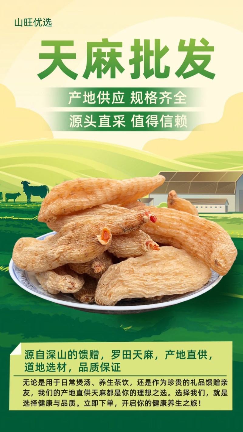天麻个子，天麻批发，湖北天麻乌红天麻