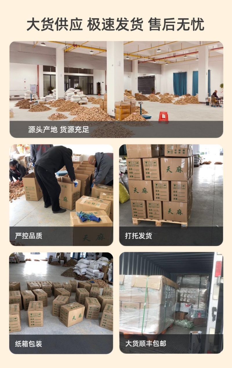 天麻个子，天麻批发，湖北天麻乌红天麻