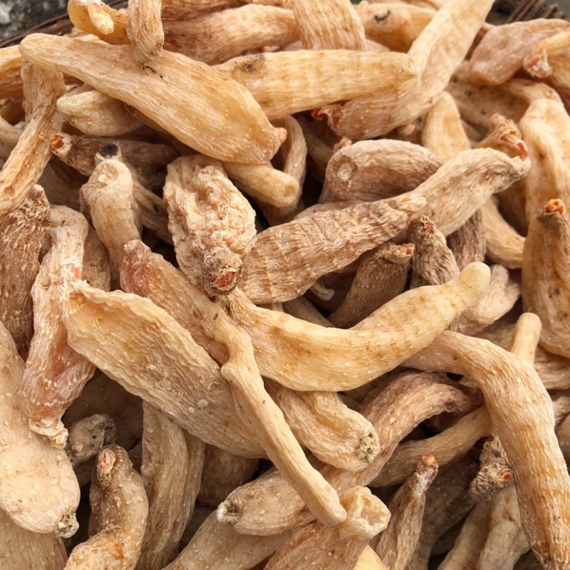 天麻个子，天麻批发，湖北天麻乌红天麻