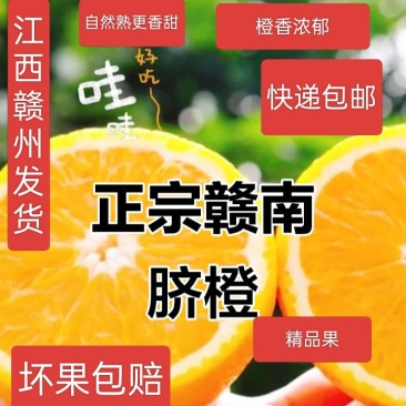 产地直供正宗的赣南脐橙，送礼酒店餐饮公司福利社区团购供应
