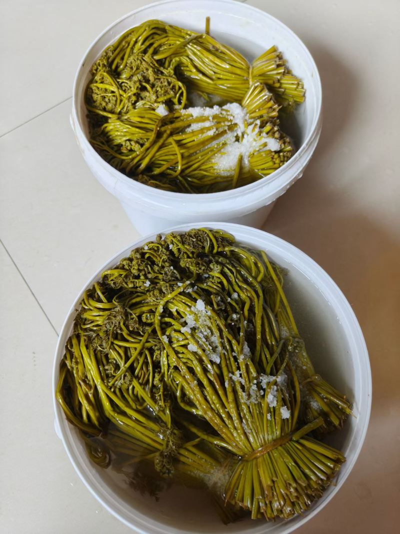 【山韭菜】内蒙古山韭菜/电商团购一件代发，对接全网便宜