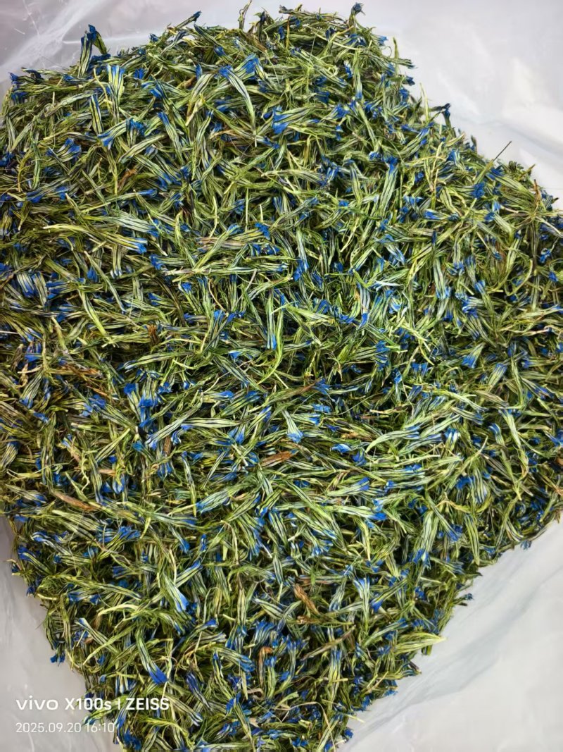 去根龙胆花大货批发