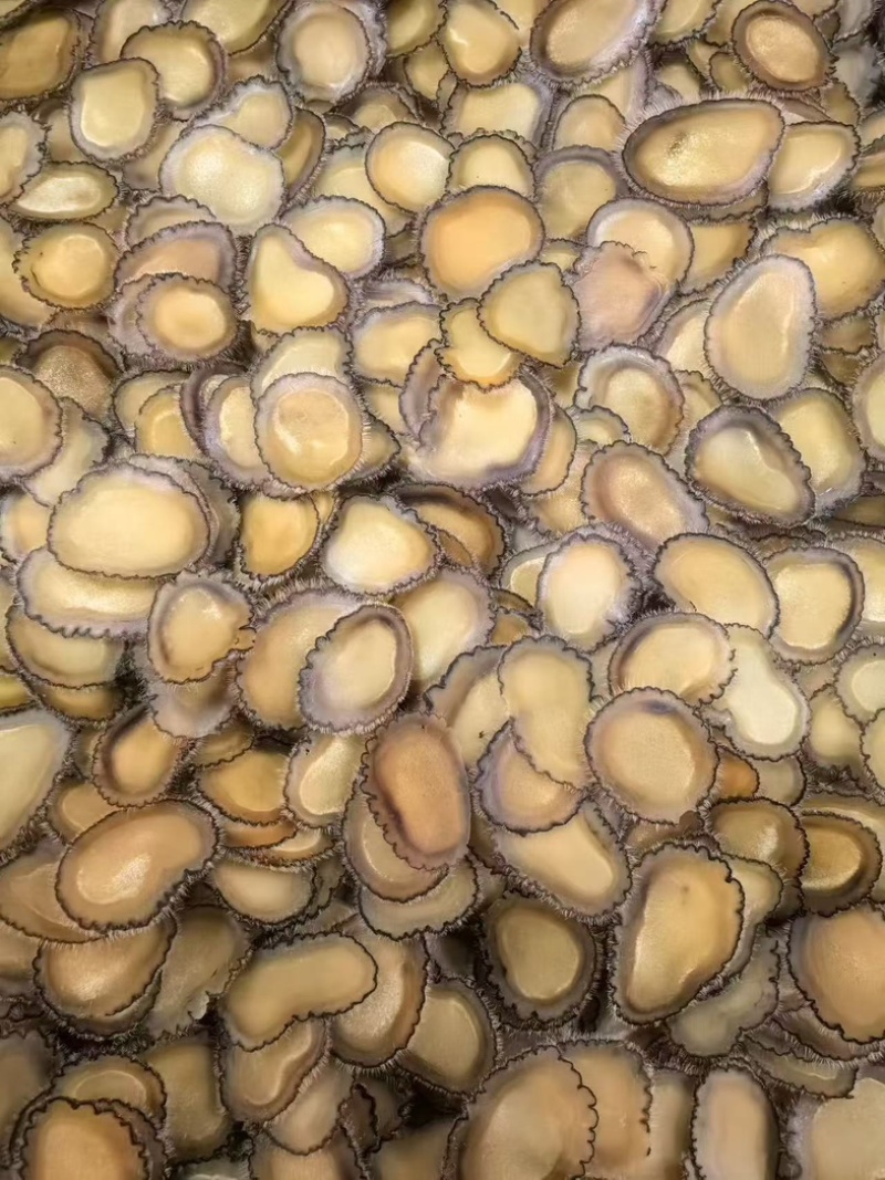 梅花全腊片鹿茸头茬腊片鹿茸片东北吉林腊片整支泡水煲