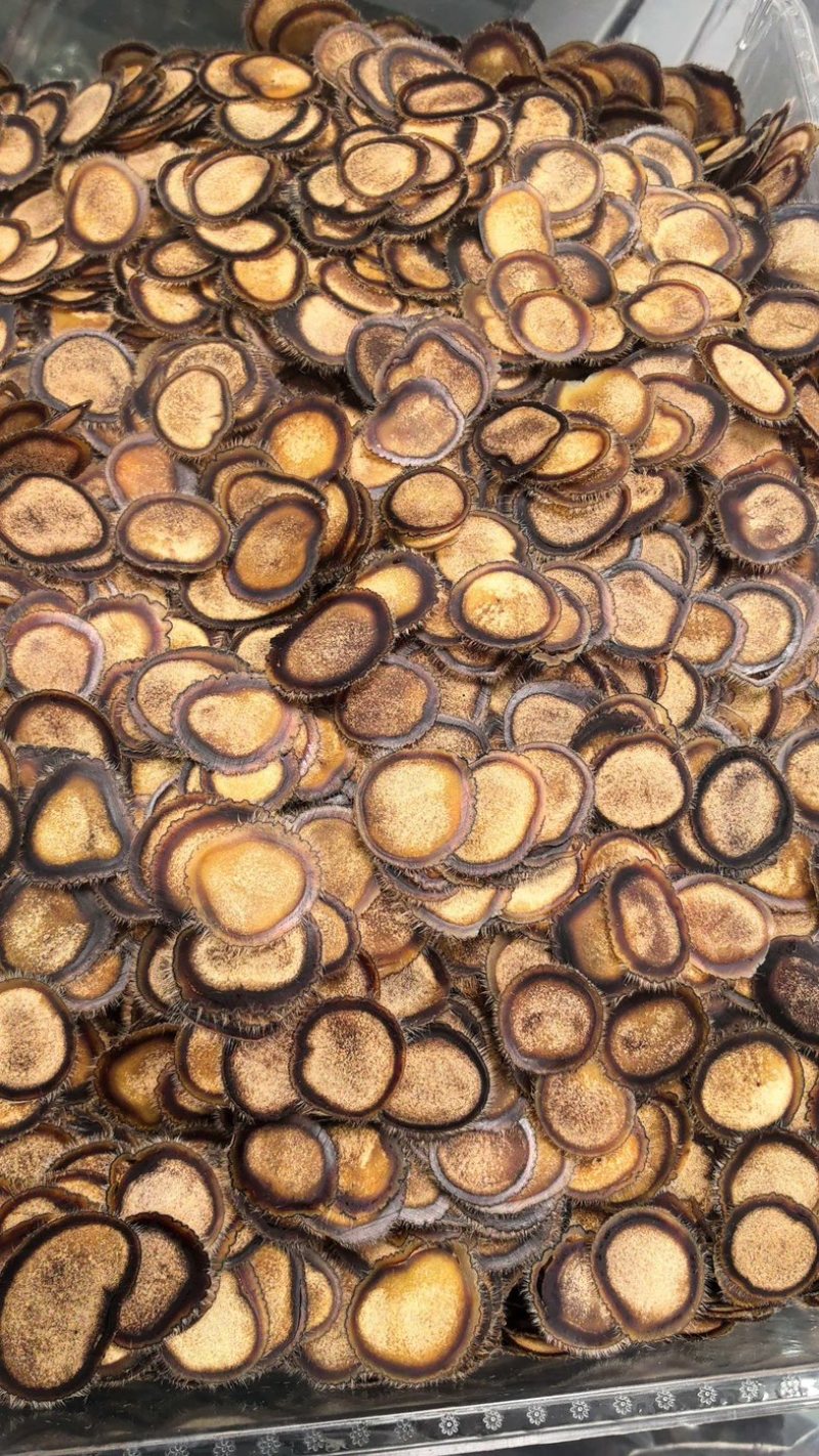 半腊片梅花鹿腊片半腊片整片泡水煲汤吉林鹿乡产地直发