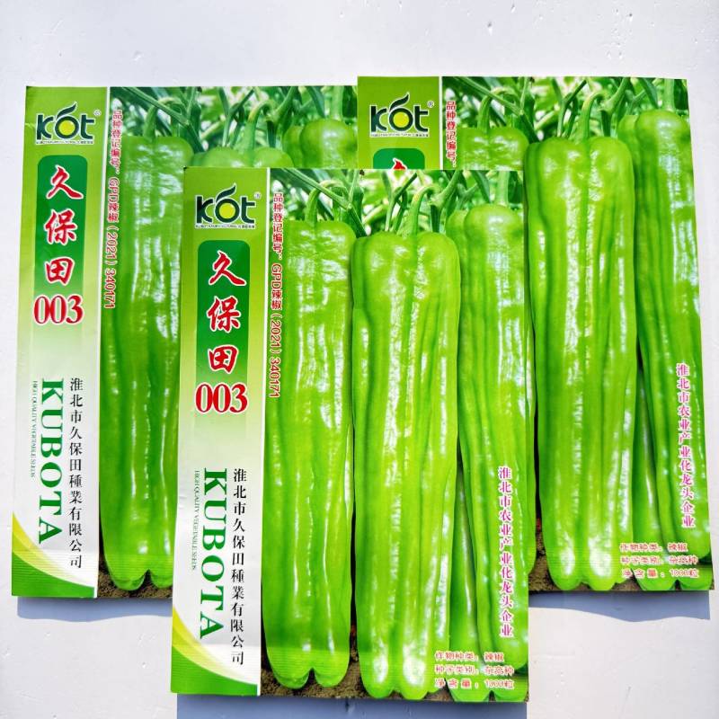 特大果薄皮椒种子早熟粗长薄皮椒微辣抗病抗逆性强高产大田