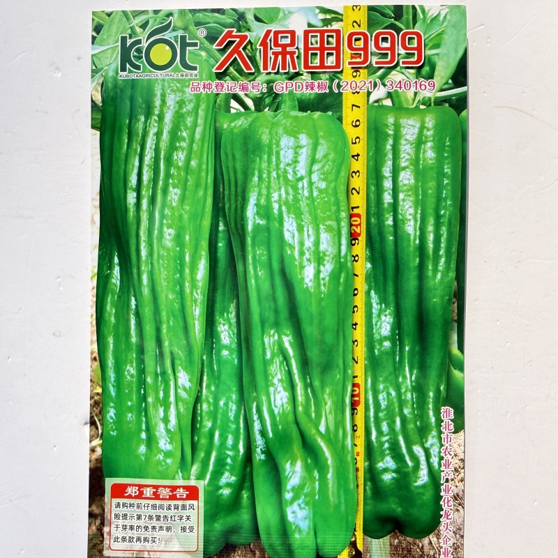 特大果薄皮椒种子早熟粗长薄皮椒微辣抗病抗逆性强高产大田