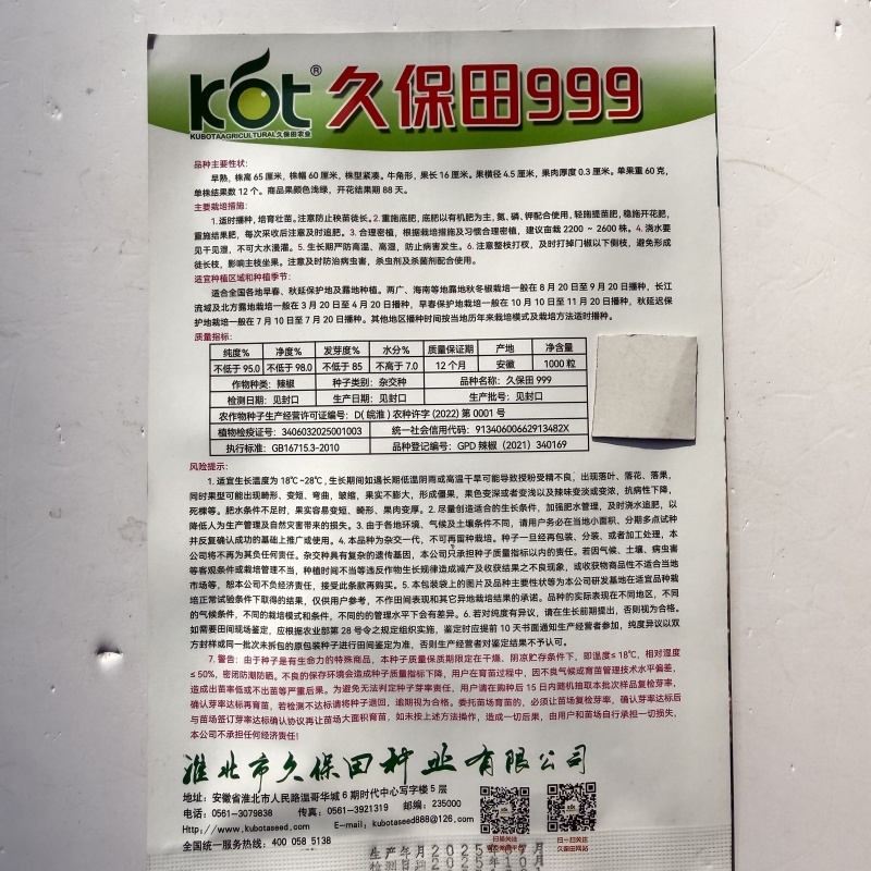 特大果薄皮椒种子早熟粗长薄皮椒微辣抗病抗逆性强高产大田