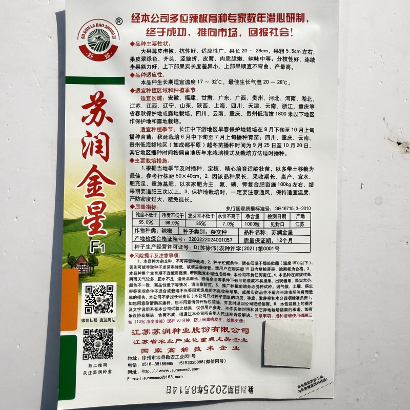特大果薄皮椒种子早熟粗长薄皮椒微辣抗病抗逆性强高产大田