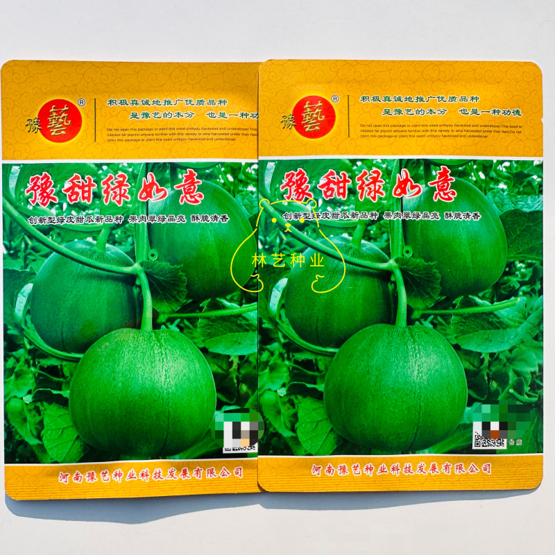 豫甜绿如意绿宝甜瓜种子口感好薄皮甜脆早熟高产商品性佳