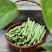 一件代发云南高山露天种植四季豆新鲜蔬菜脆爽鲜美产地直发现