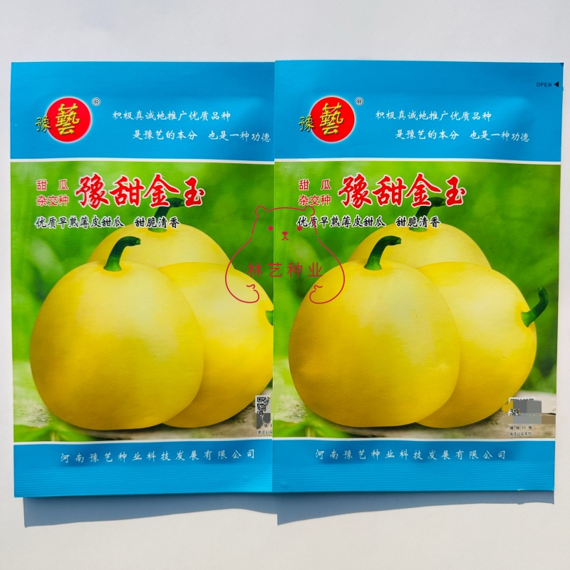 豫艺豫甜金玉杂交甜瓜种子优质早熟品种薄皮甜脆易坐果产量高