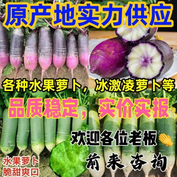 潍坊水果萝卜，冰激凌萝卜