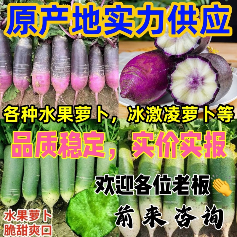 潍坊水果萝卜，冰激凌萝卜