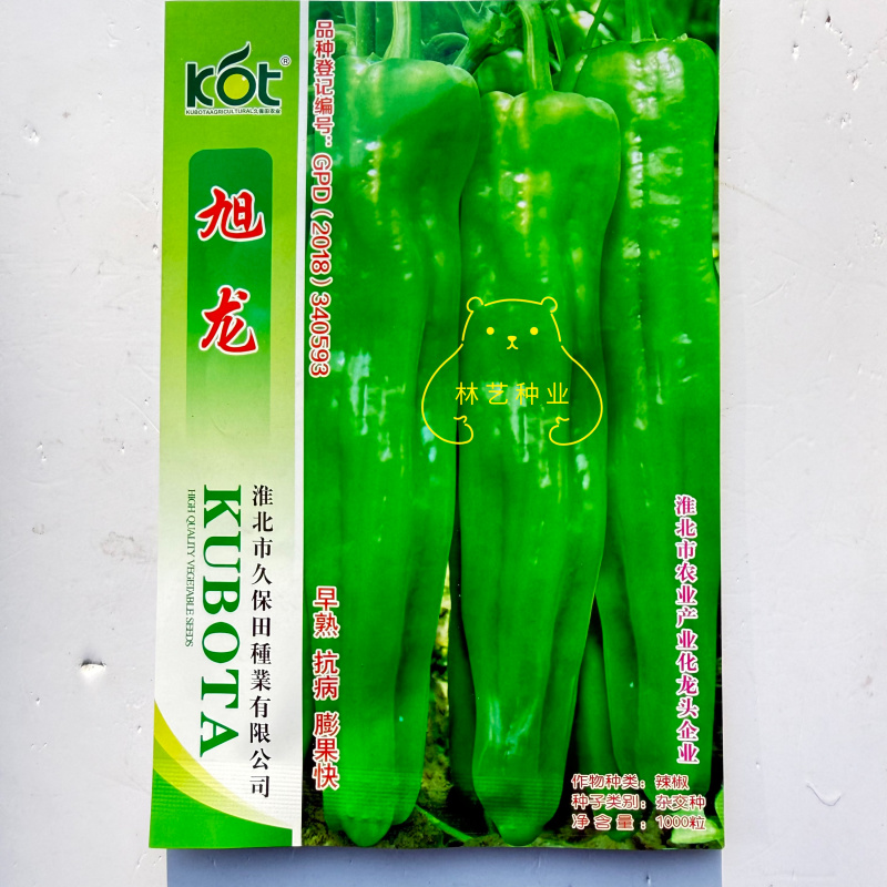 旭龙辣椒种子早熟粗长大牛角椒浅绿皮薄微辣抗病强产量高