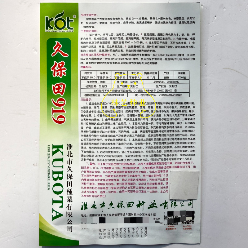 久保田919中早熟高产薄皮大果辣椒种子农家大田春秋播种