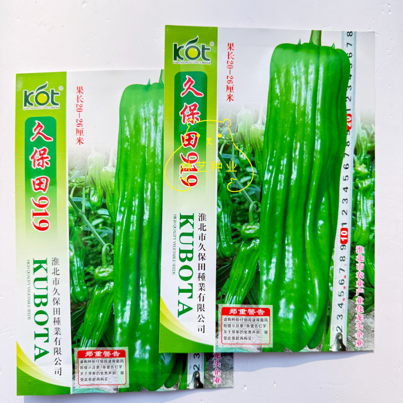 久保田919中早熟高产薄皮大果辣椒种子农家大田春秋播种
