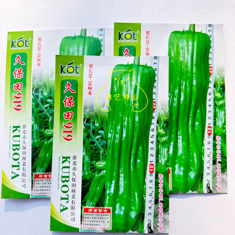 久保田919中早熟高产薄皮大果辣椒种子农家大田春秋播种