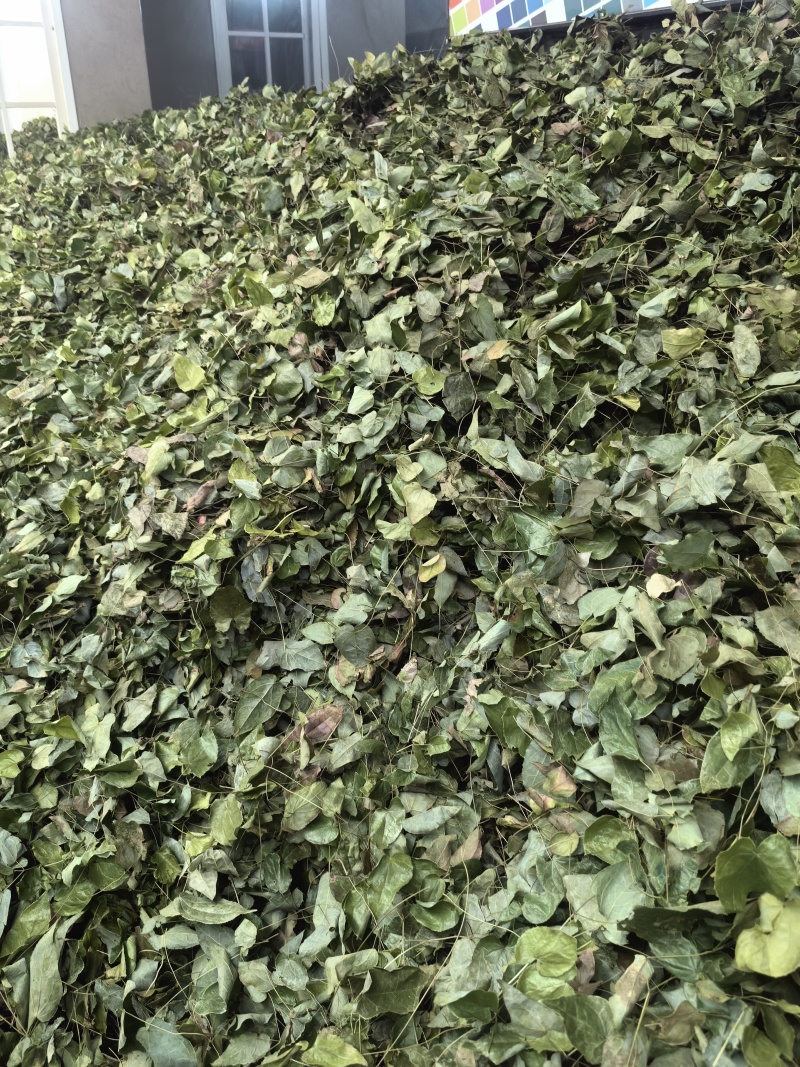 柔毛高含量淫羊藿/保真保质量/诚信为本/欢迎合作