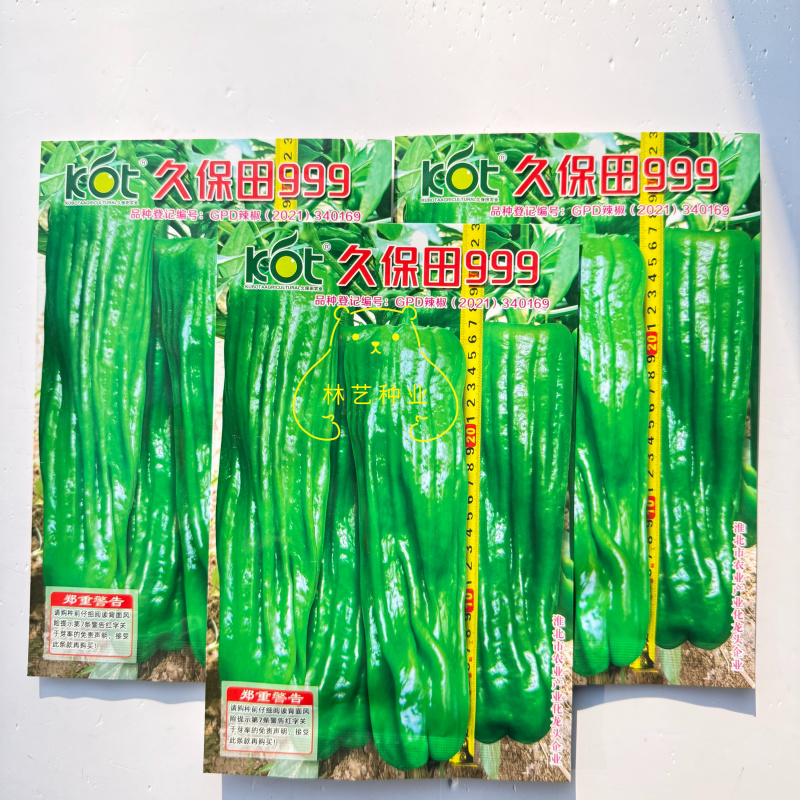 久保田999长灯笼型辣椒种子早熟辣味适中大果高产耐高温