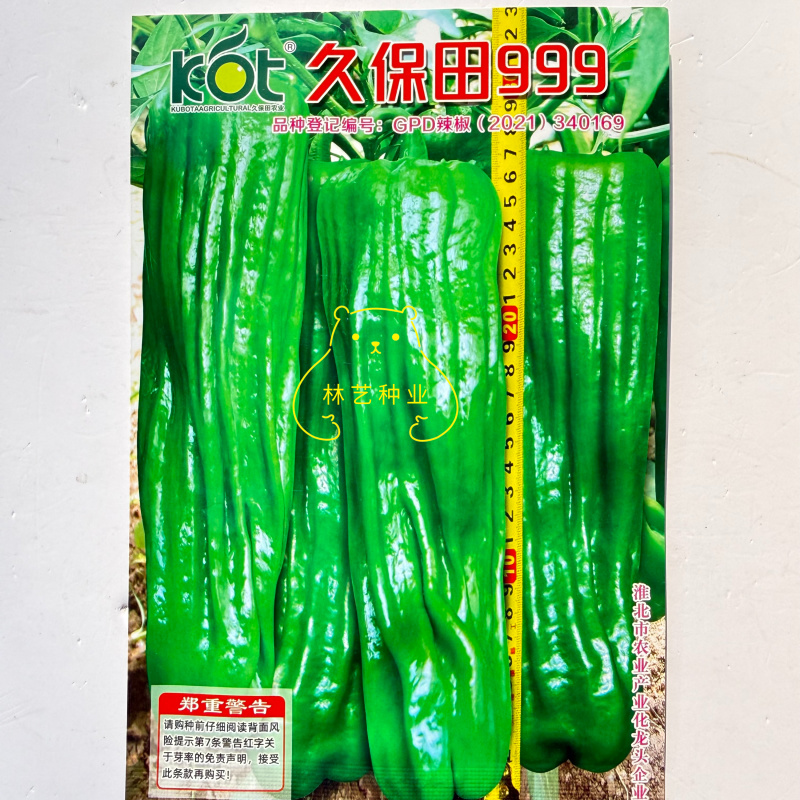 久保田999长灯笼型辣椒种子早熟辣味适中大果高产耐高温