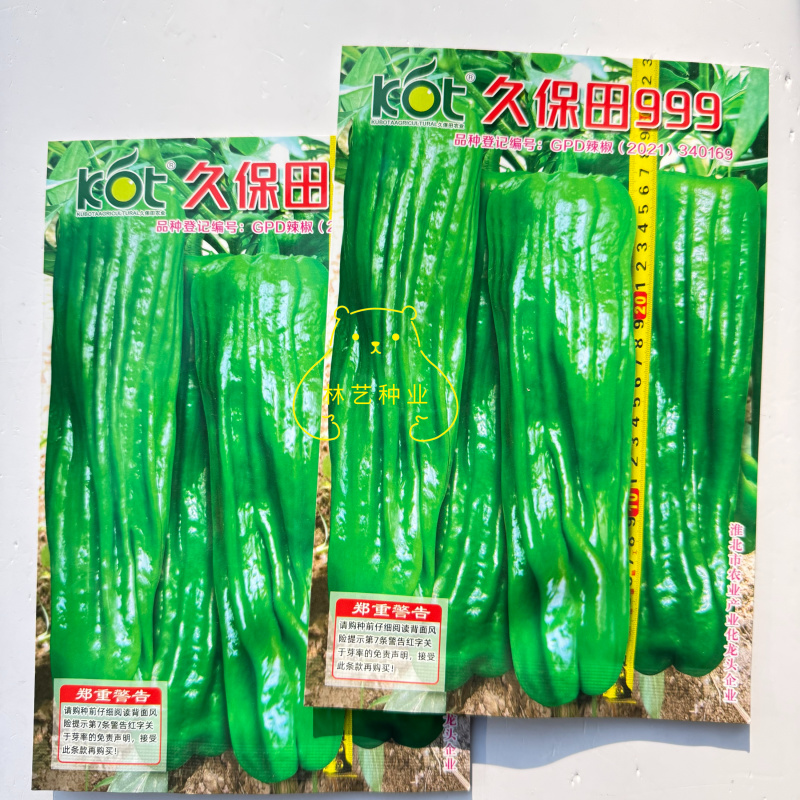 久保田999长灯笼型辣椒种子早熟辣味适中大果高产耐高温