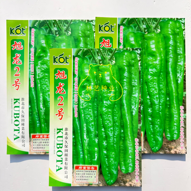 旭龙2号牛角椒辣椒种子薄皮大果早熟高产抗病果色深绿微辣