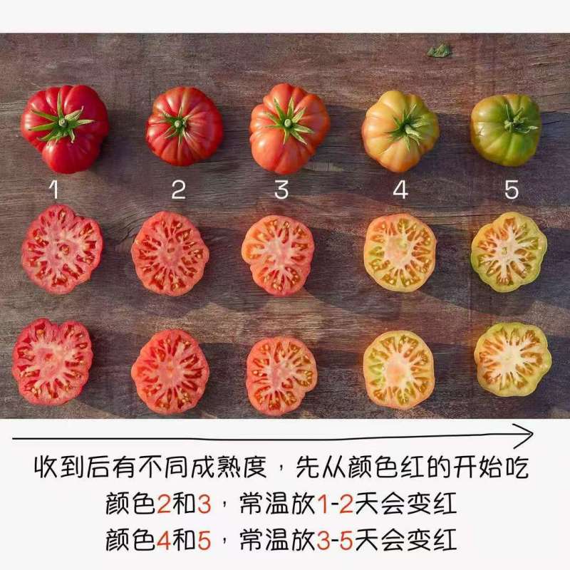 老品种马蹄西红柿