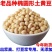 贵州老品种黄豆黑脐
