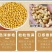 贵州老品种黄豆黑脐