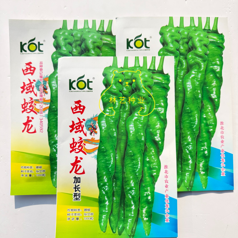 西域蛟龙螺丝椒种子早熟丰产果大皮薄肉厚耐寒抗病性螺丝椒
