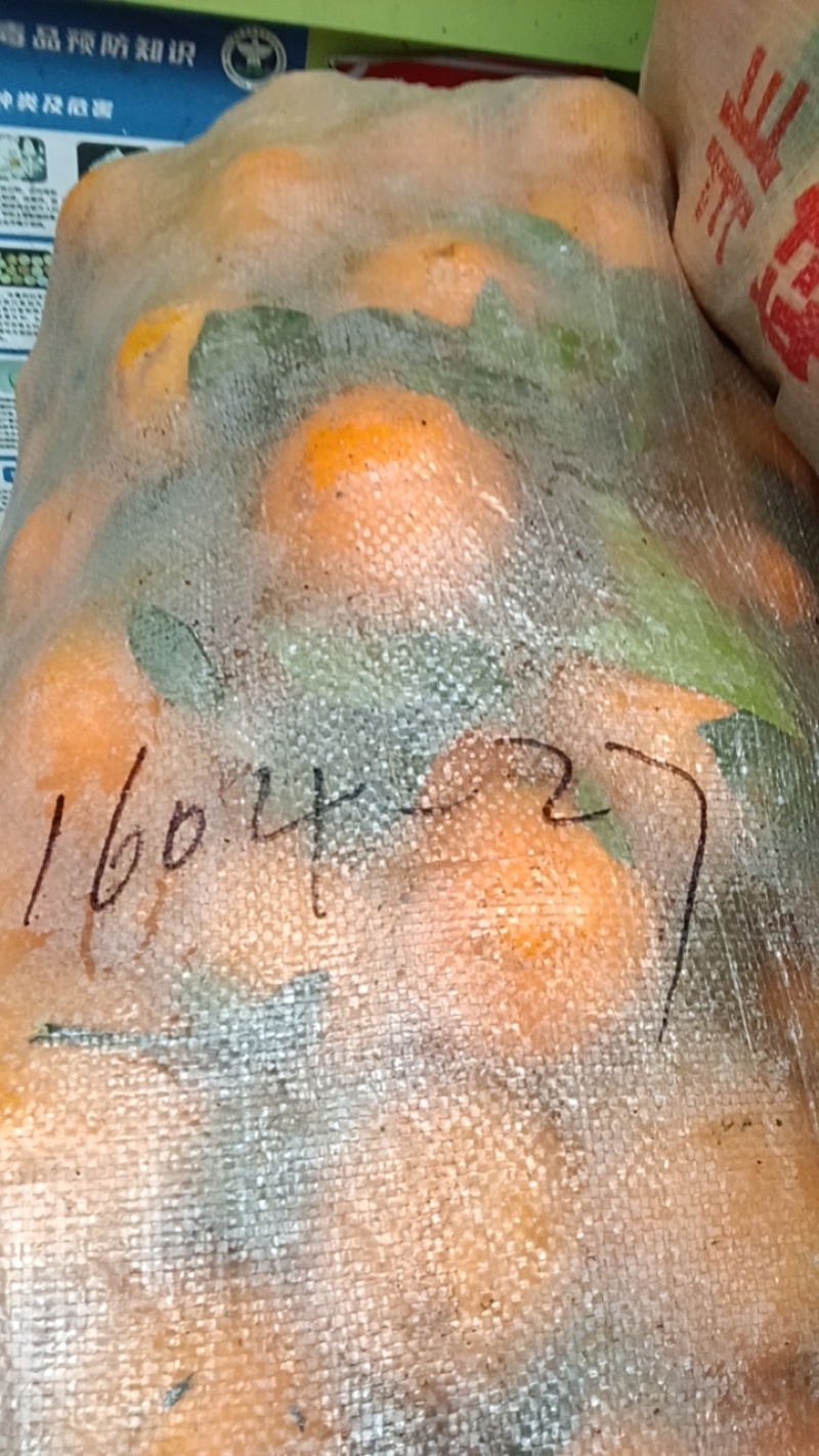 麻阳冰糖橙，新品种。锦蜜，全甜无酸，今采才今天发，保证**鲜