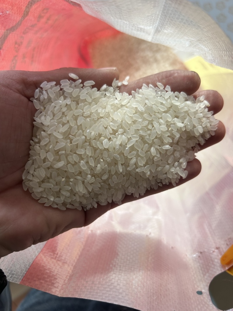 大米饭不吃菜干两碗