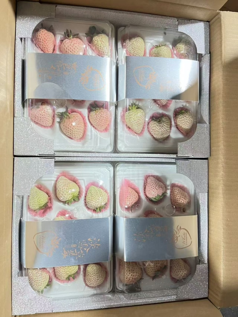 白草莓