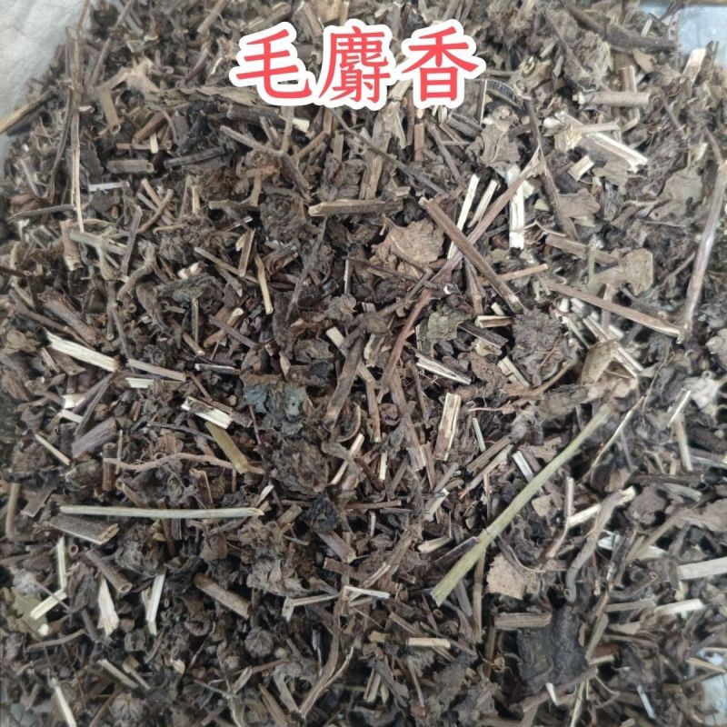 野生药材毛麝香