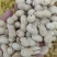 农家铁锅炒花生带壳熟原味柴火瓜子花生炒货干果年货量大优惠