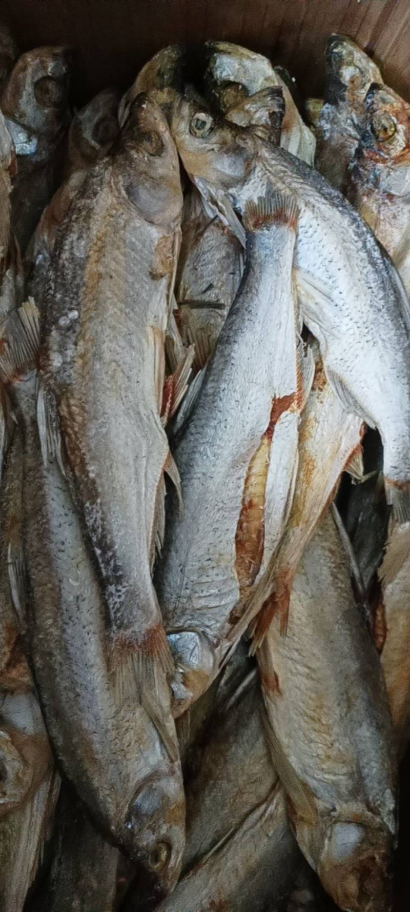翘嘴鱼干货开肚翘鲌20一30公分品像一般