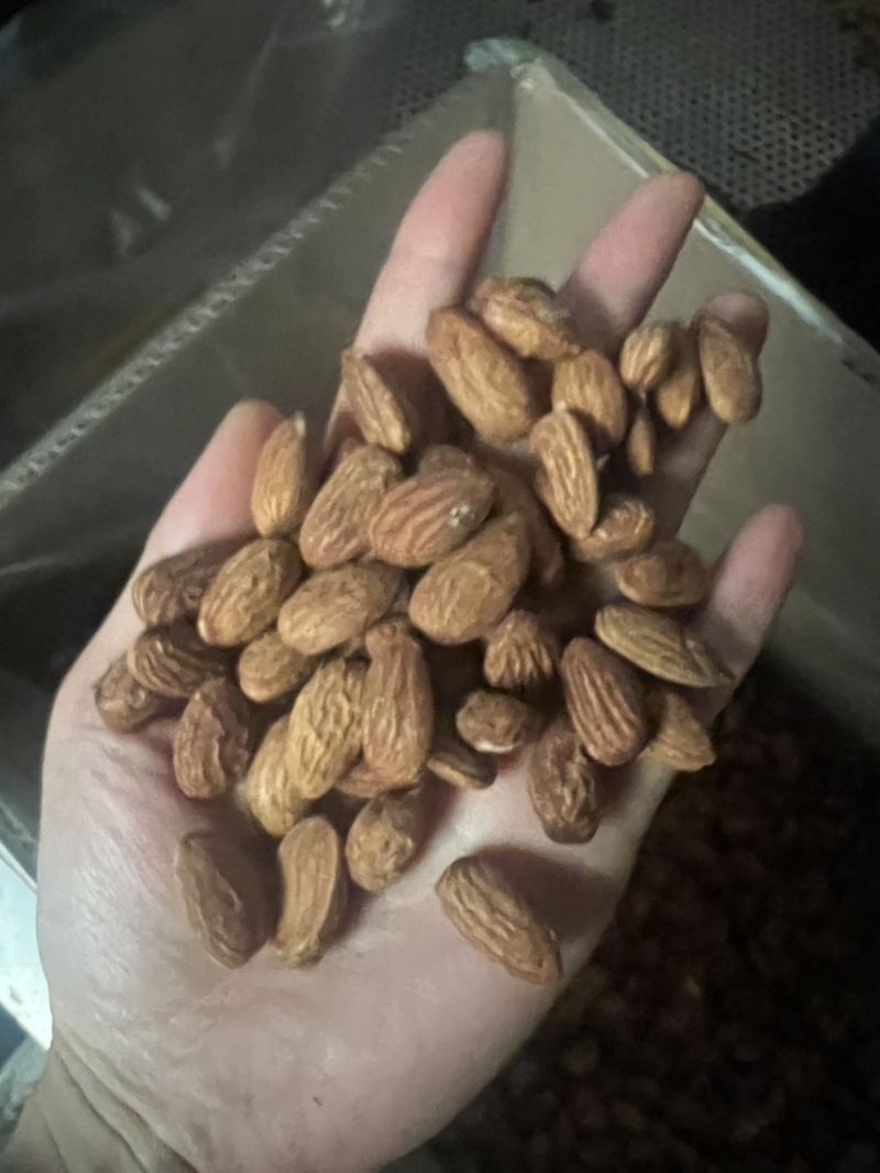 巴旦木仁奶香味原味大量现货