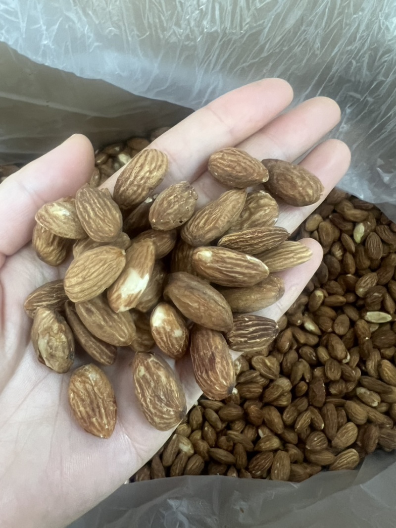巴旦木仁奶香味原味大量现货