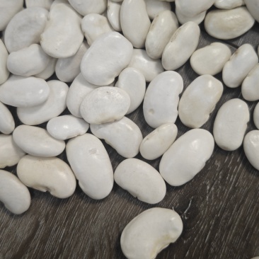 白芸豆45粒成品