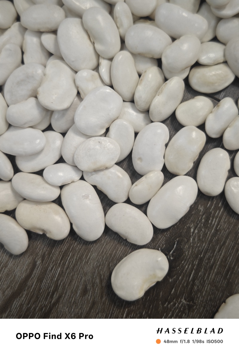 白芸豆45粒成品