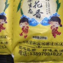 袋子有店化