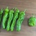 精品薄皮青椒，量大质量保证，按需包装！欢迎选购！
