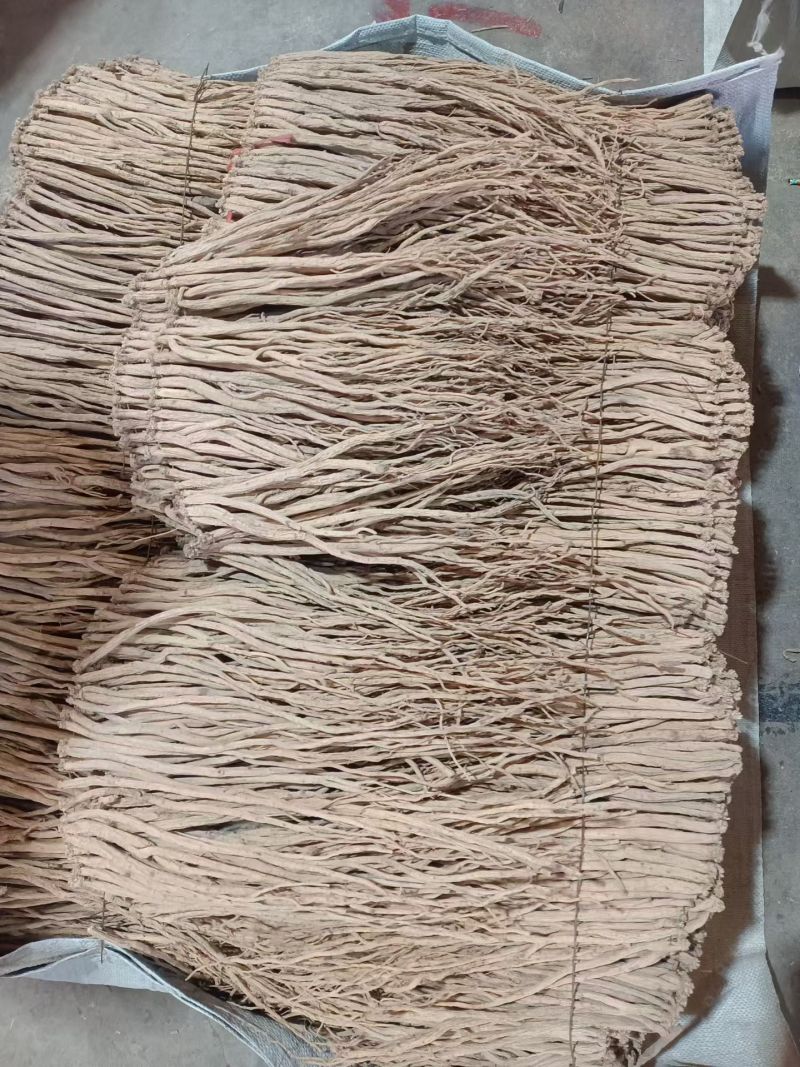 白条党参