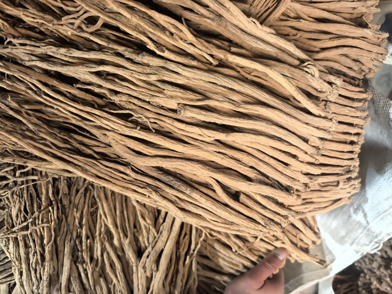 白条党参