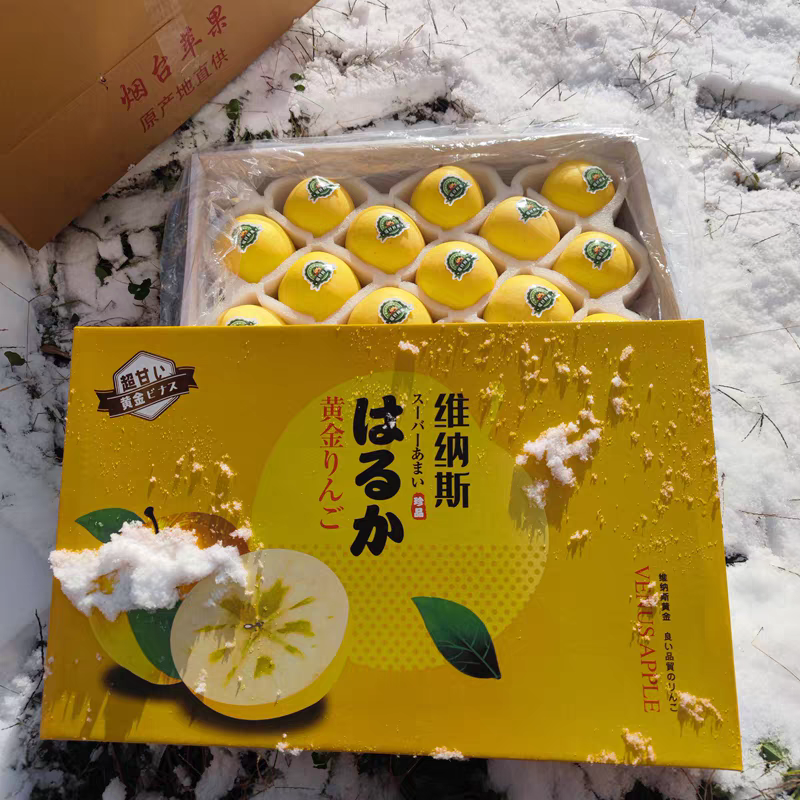 维纳斯黄金苹果/冷库货源/保质保量/全国供应批发