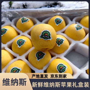 维纳斯黄金苹果/冷库货源/保质保量/全国供应批发
