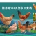 广东四大名鸡，信宜怀乡三黄鸡供应链