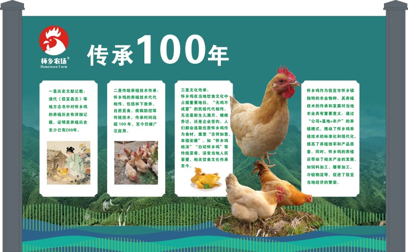 广东四大名鸡，信宜怀乡三黄鸡供应链
