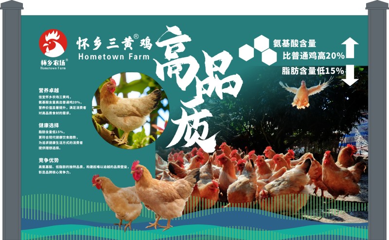 广东四大名鸡，信宜怀乡三黄鸡供应链