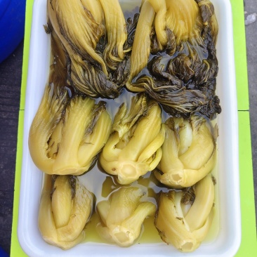 精品酸菜（中小菜）品质保证，货品齐全，欢迎各位老板前来选